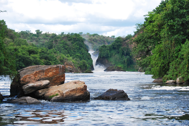 2016年5月 摄于乌干达默奇森-Picmap.jpg