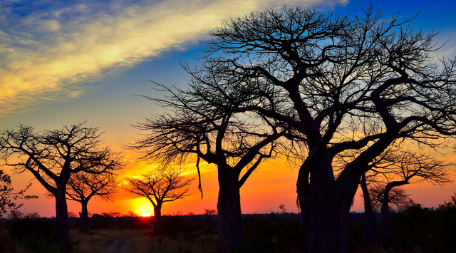 2016年6月 摄于坦桑尼亚鲁阿哈-张立国.jpg