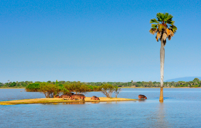 2016年6月 摄于坦桑尼亚塞卢斯-张立国.jpg