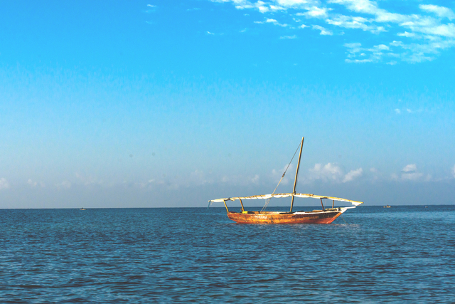 2015年12月 摄于坦桑尼亚塞伦盖蒂-张昕晖.jpg